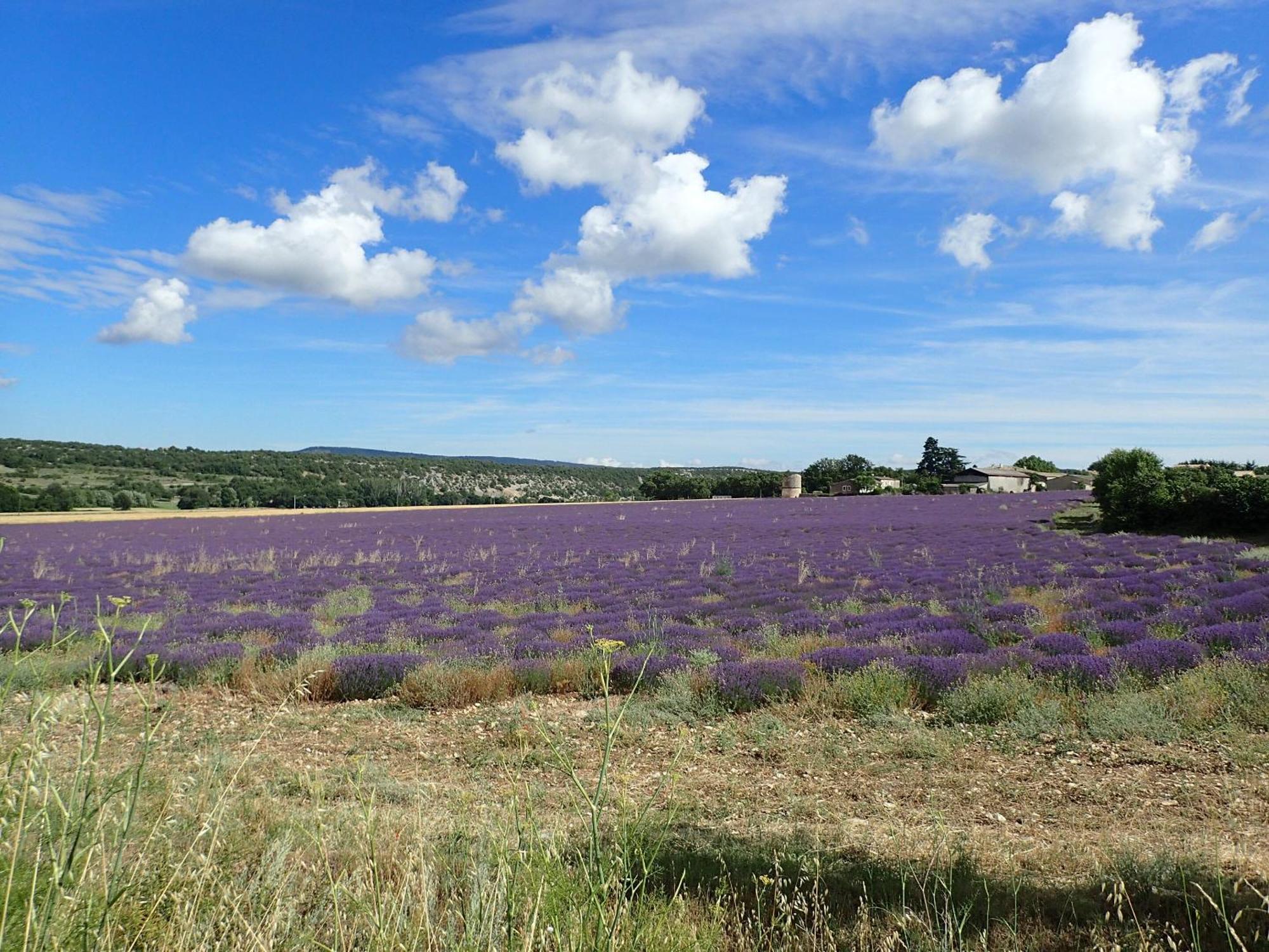 Gite De L'Aspa Saint-Christol  Kültér fotó